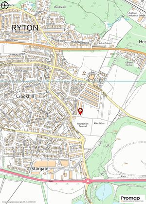 Photo 10- click for photo gallery